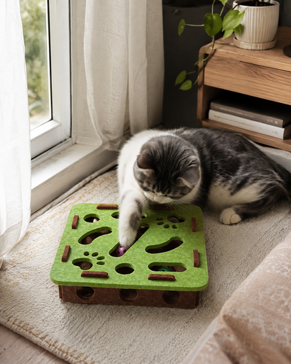 Cat actively reaching into the Catnip Green puzzle maze beside a window