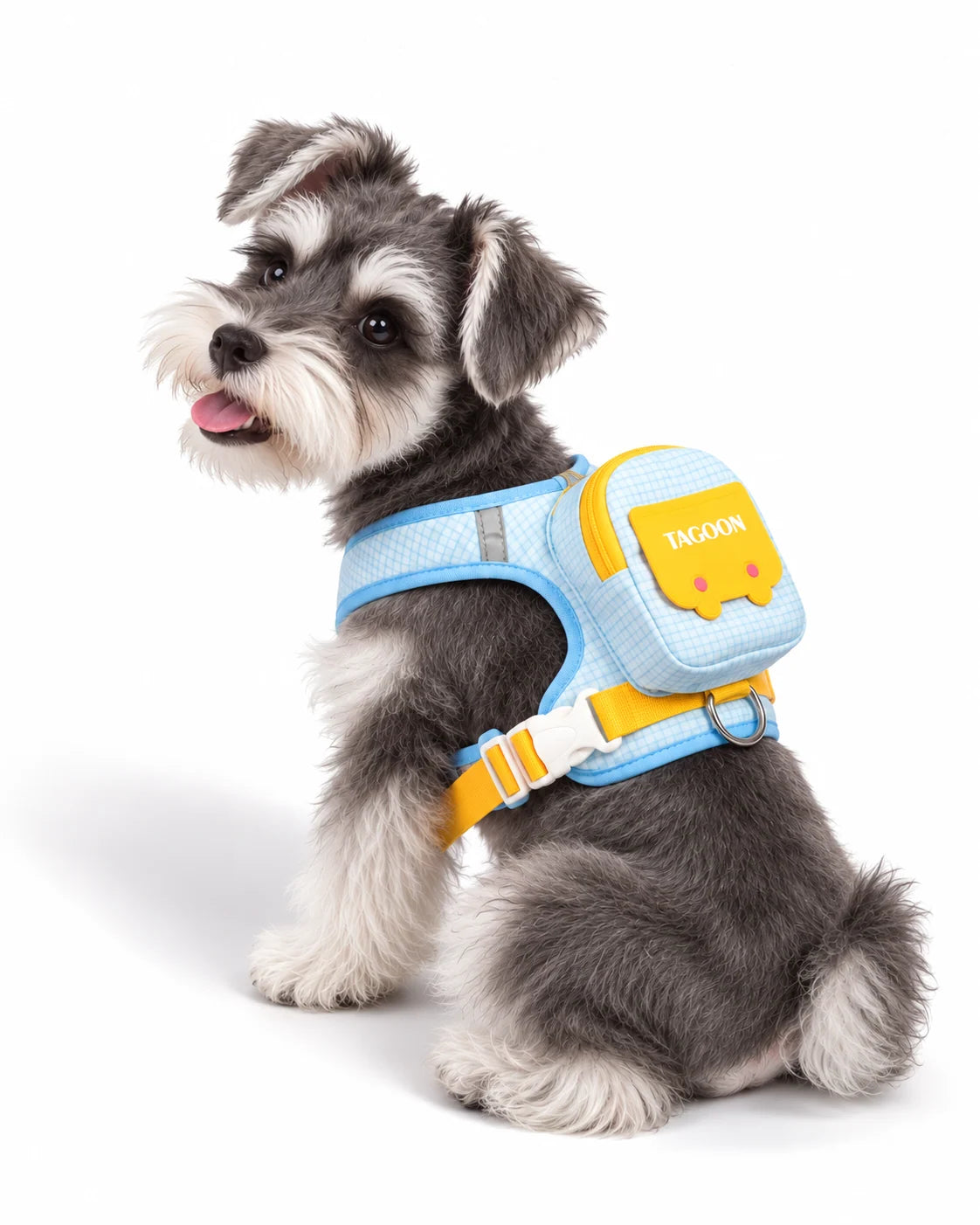 Dog wearing the blue PawPocket Harness & Leash Set