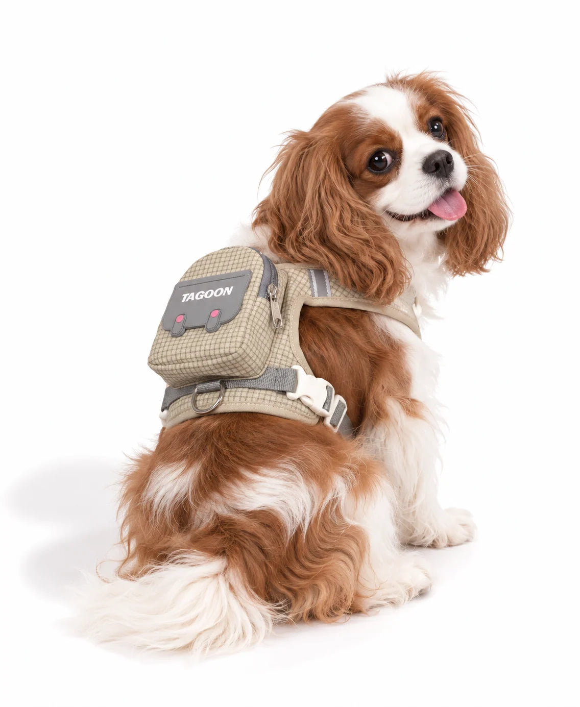 Dog wearing the khaki PawPocket Harness & Leash Set